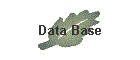 Data Base