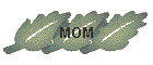 MOM