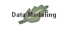 Data Modeling